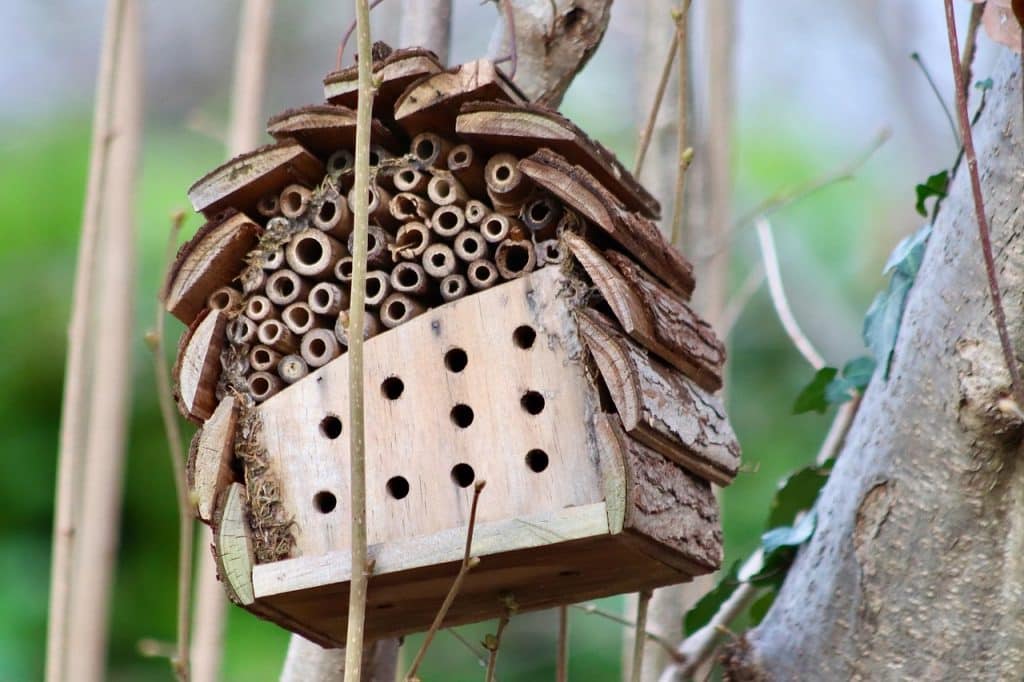 Insekthotel i haven