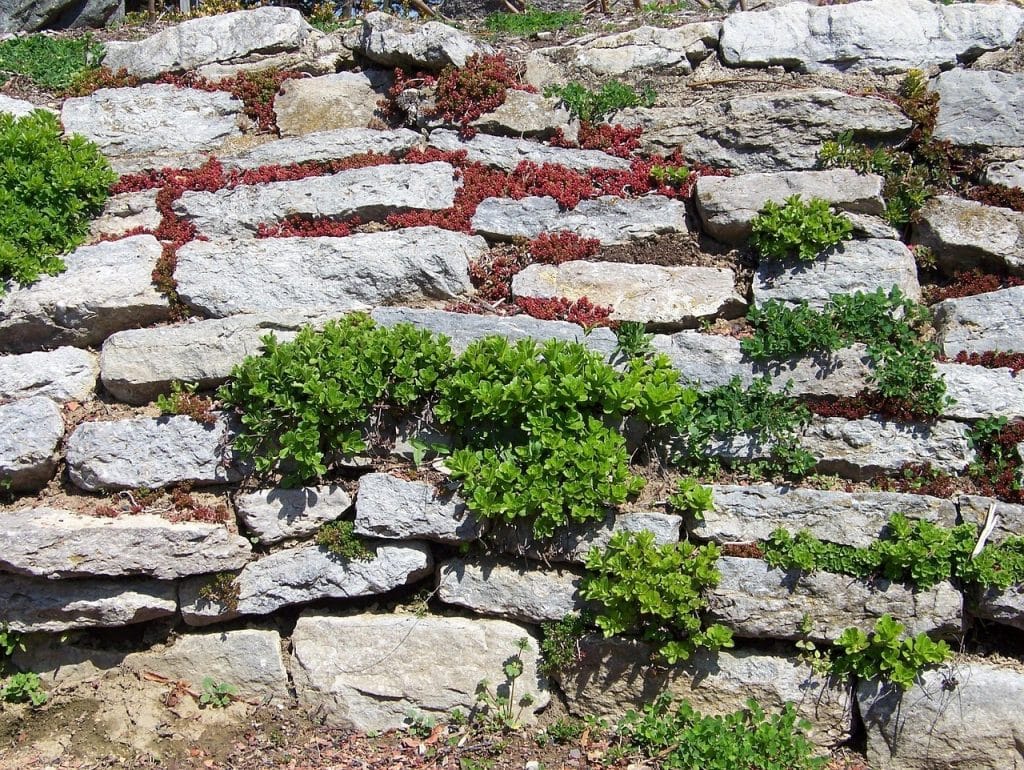 Støttemur af natursten med planter